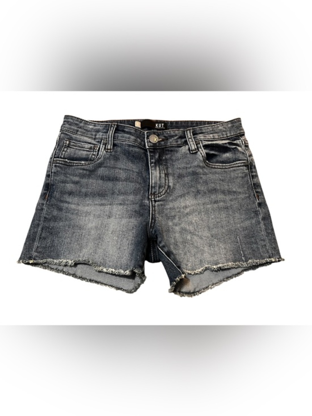 Kut from the Kloth Gidget Fray Denim Shorts